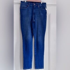 Banana Republic Stylish Blue Denim Jeans